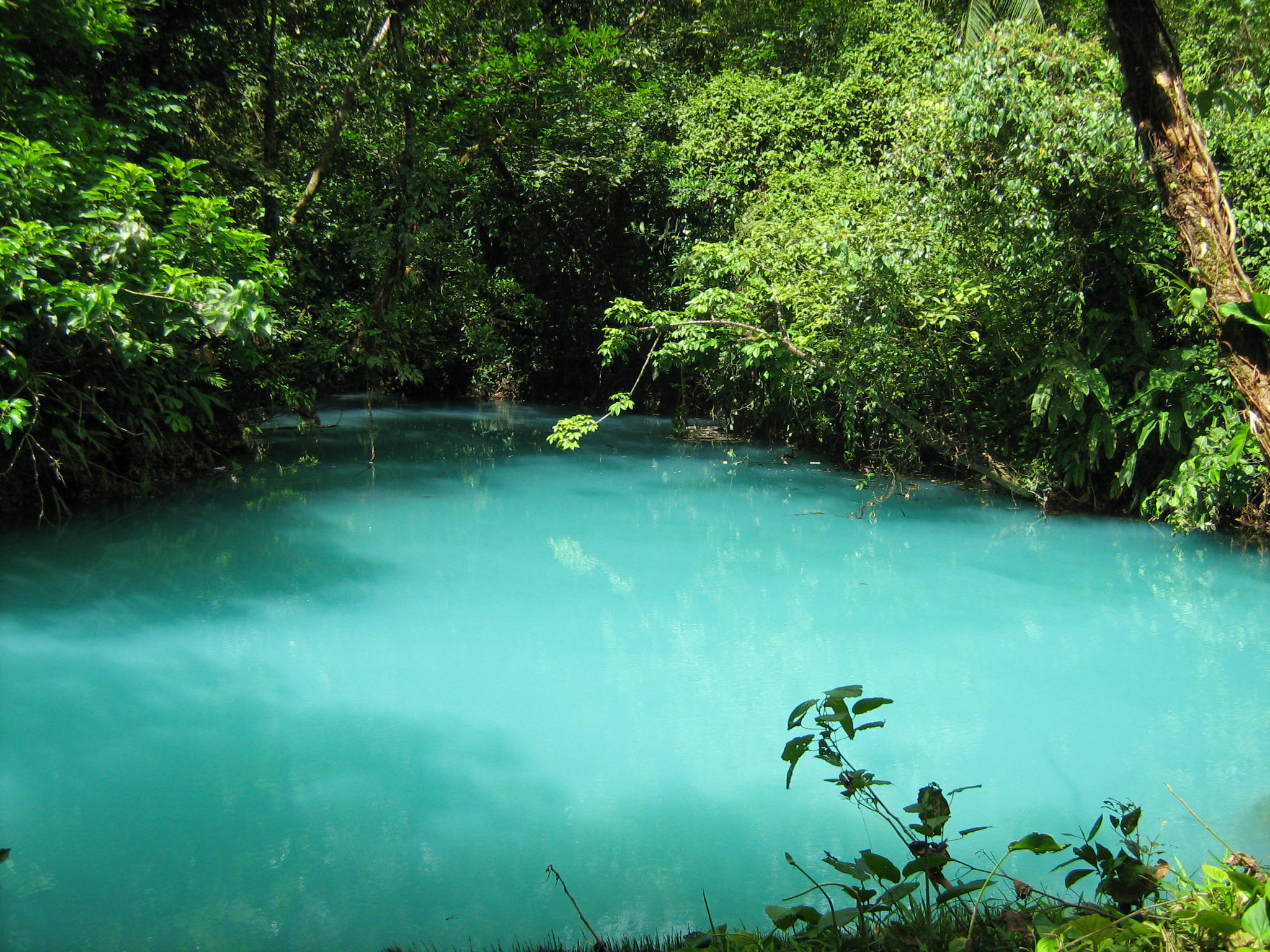 rio-celeste-swiss-travel-costa-rica1