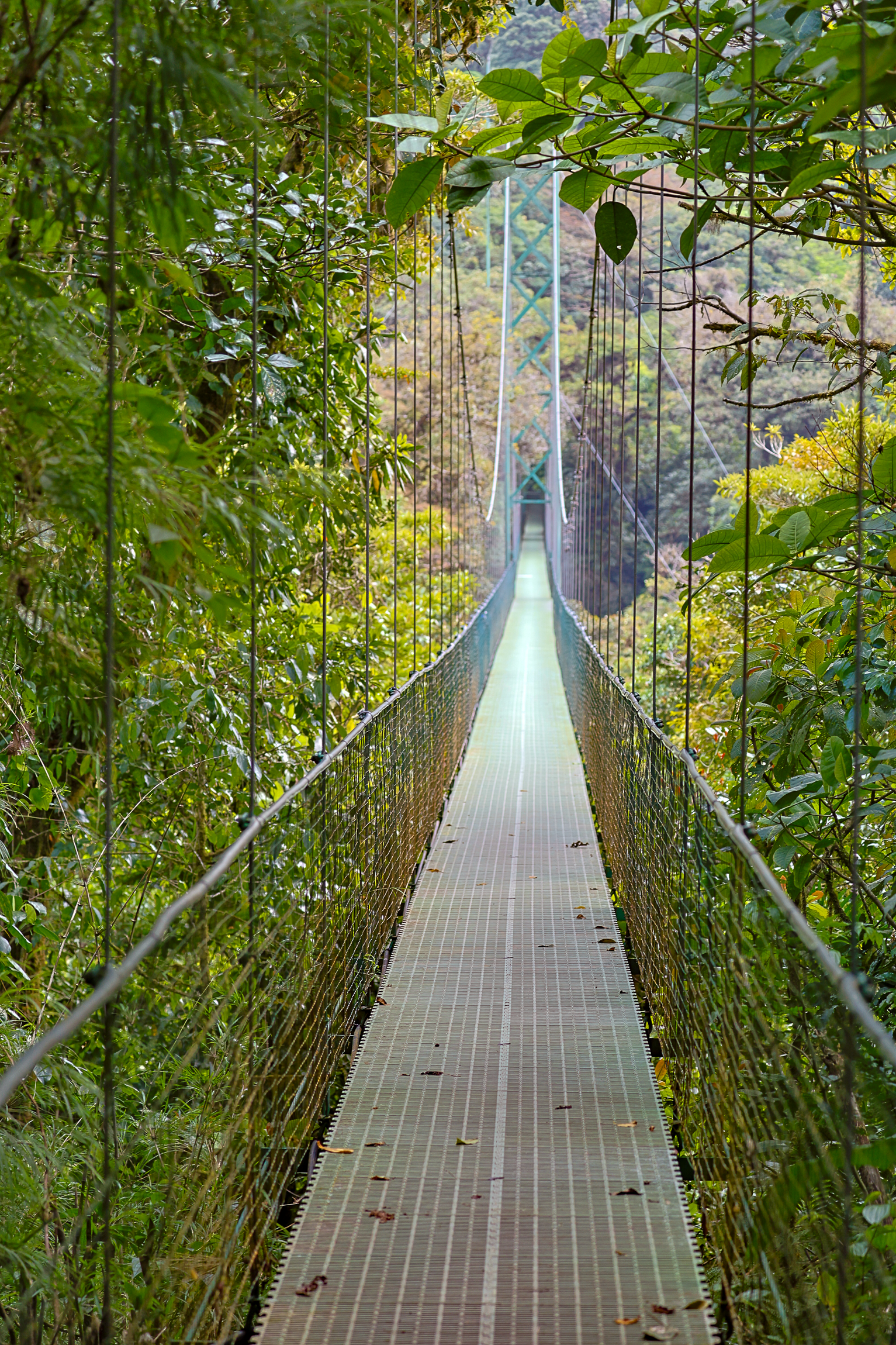 st-costarica-travel-monteverde