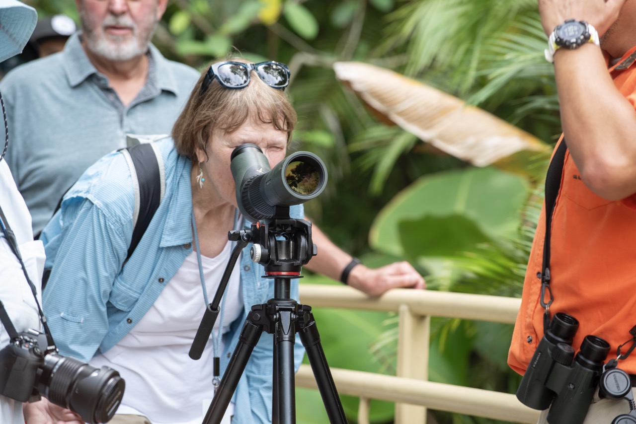 manuel antonio-national park-tour-st-costa-rica-2024-104 Large