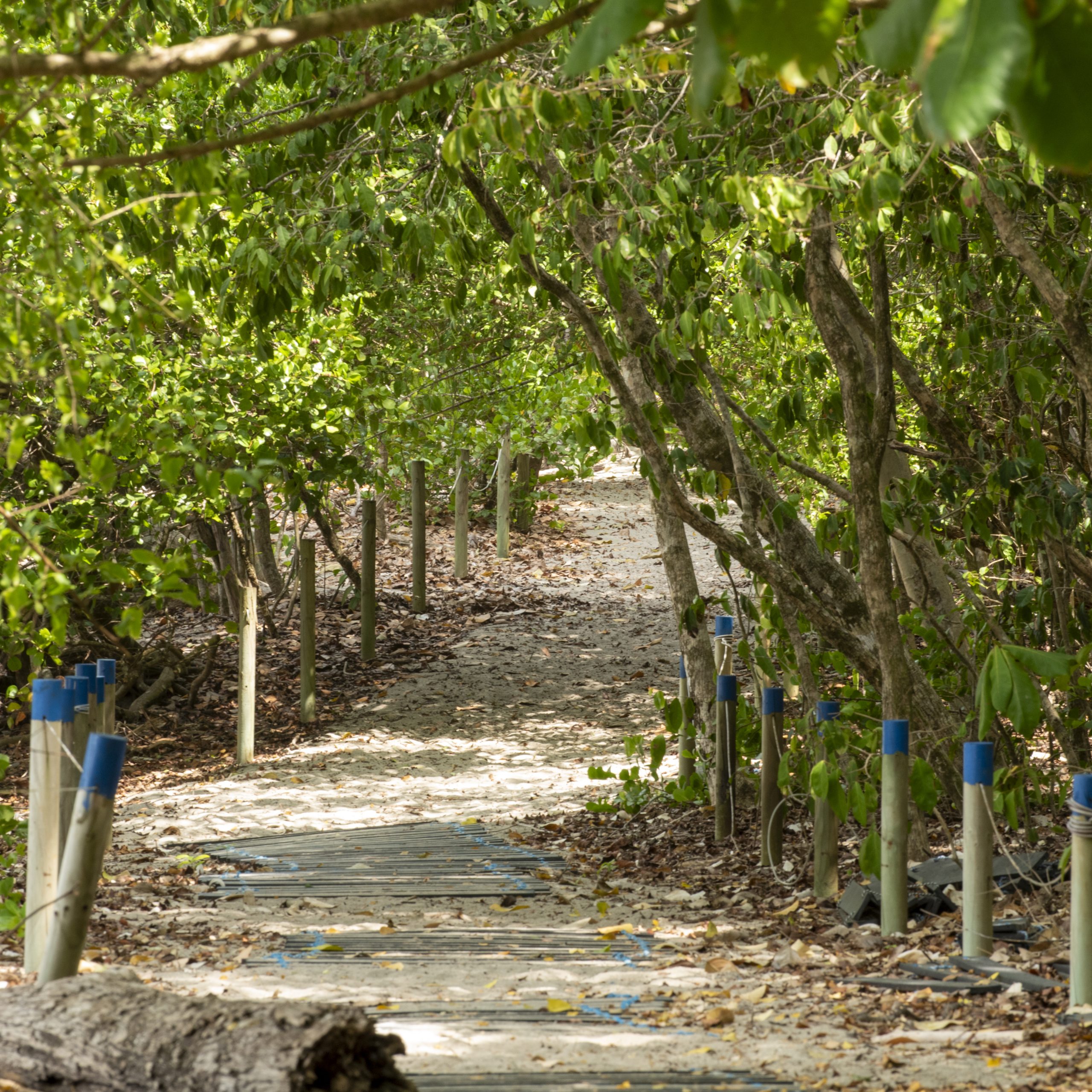 manuel antonio-national park-tour-st-costa-rica-2024-130