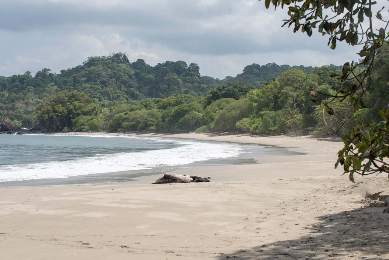 manuel antonio-national park-tour-st-costa-rica-2024-150 Large