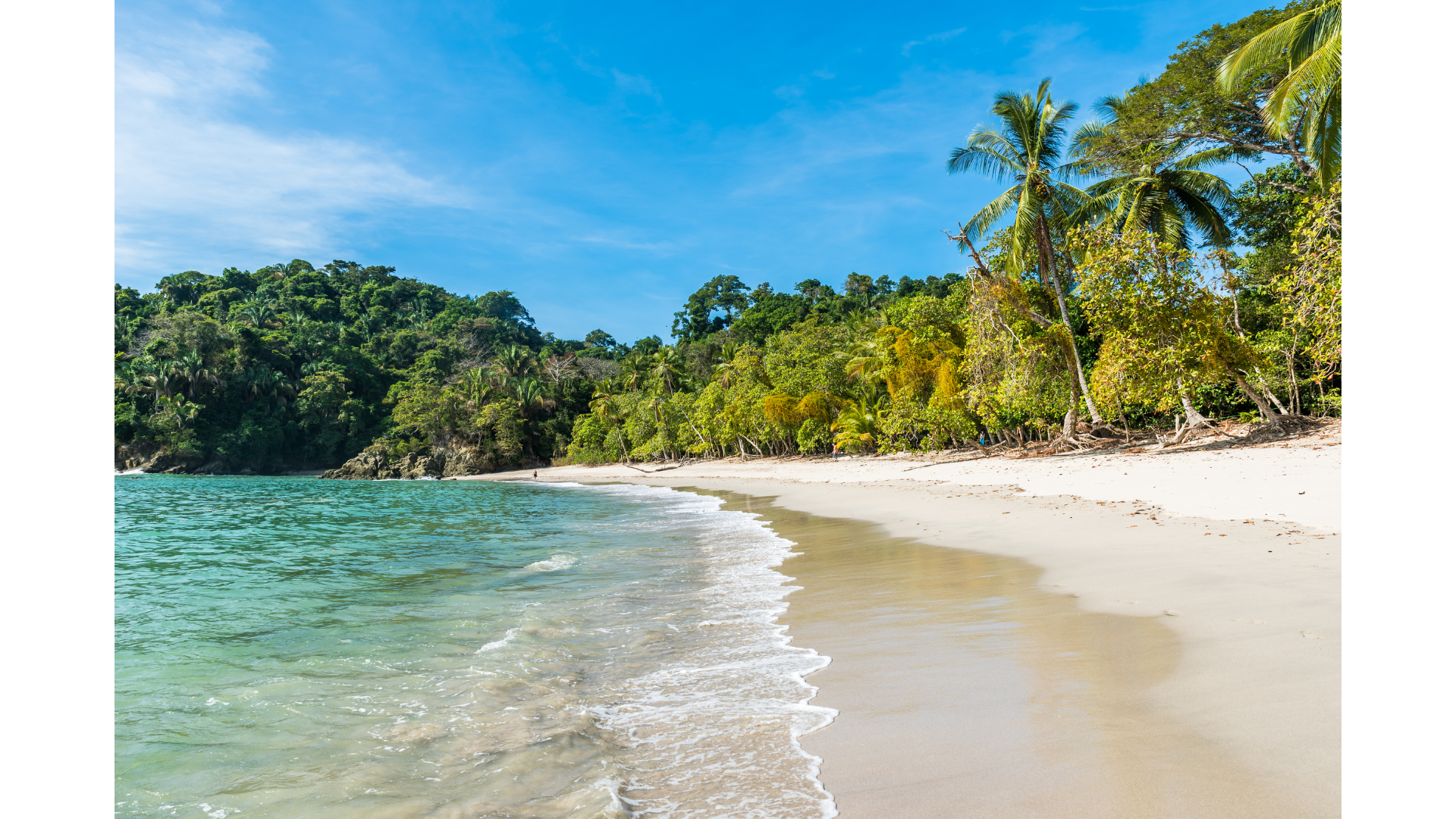 image manuel antonio, costa rica