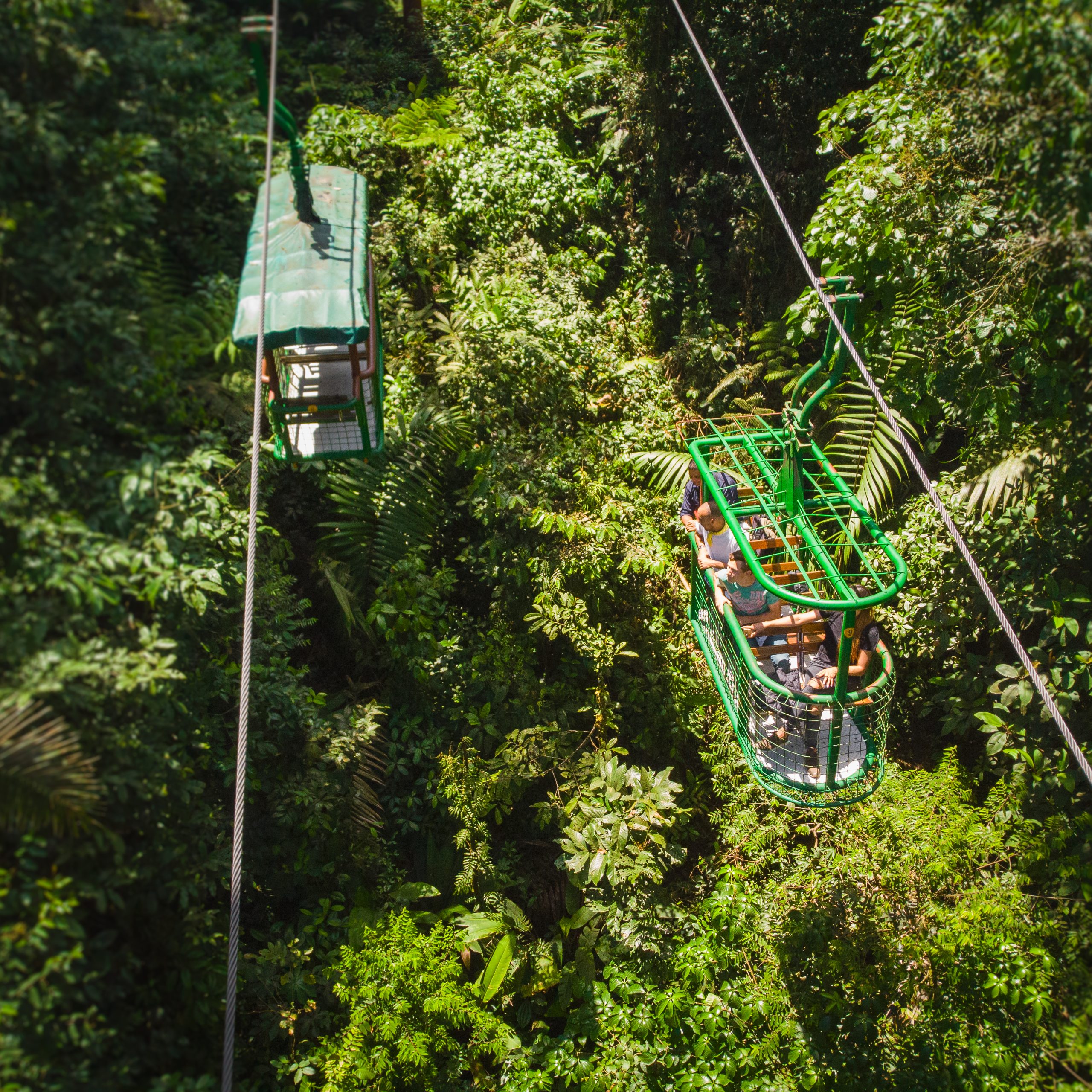 Jaco, Rainforest, Teleferico, 2023,Vendor (3)