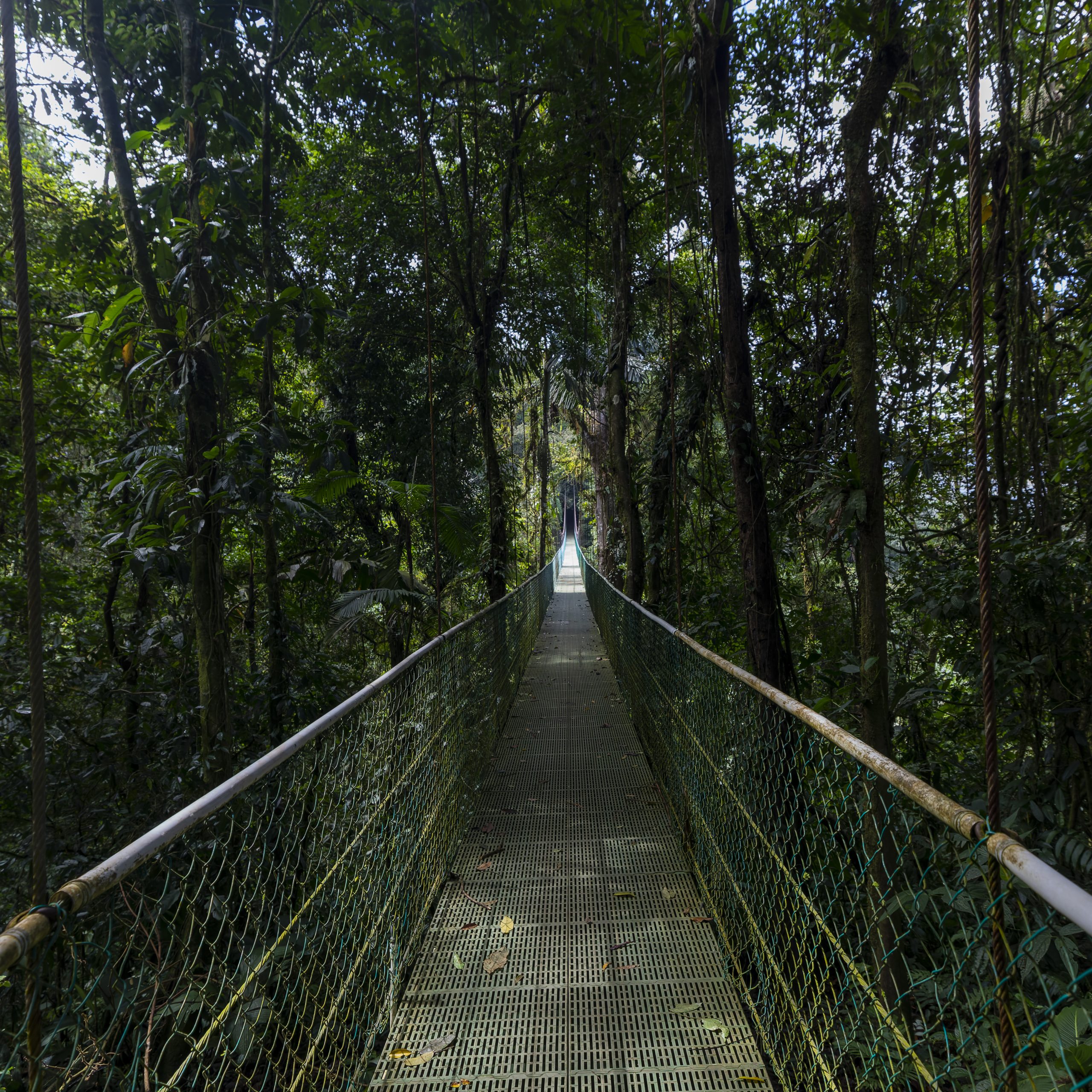 image-haging-bridge-arenal