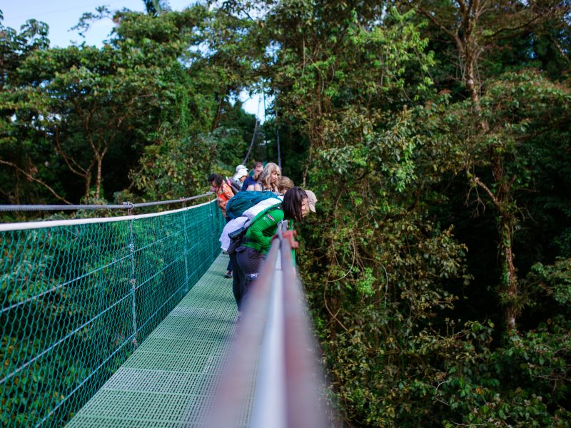 image-haging-bridge-arenal