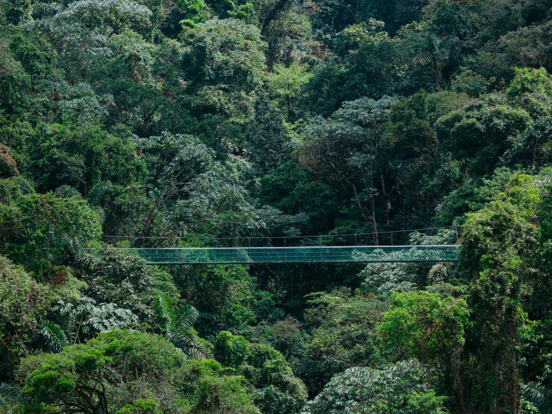 image-haging-bridge-arenal