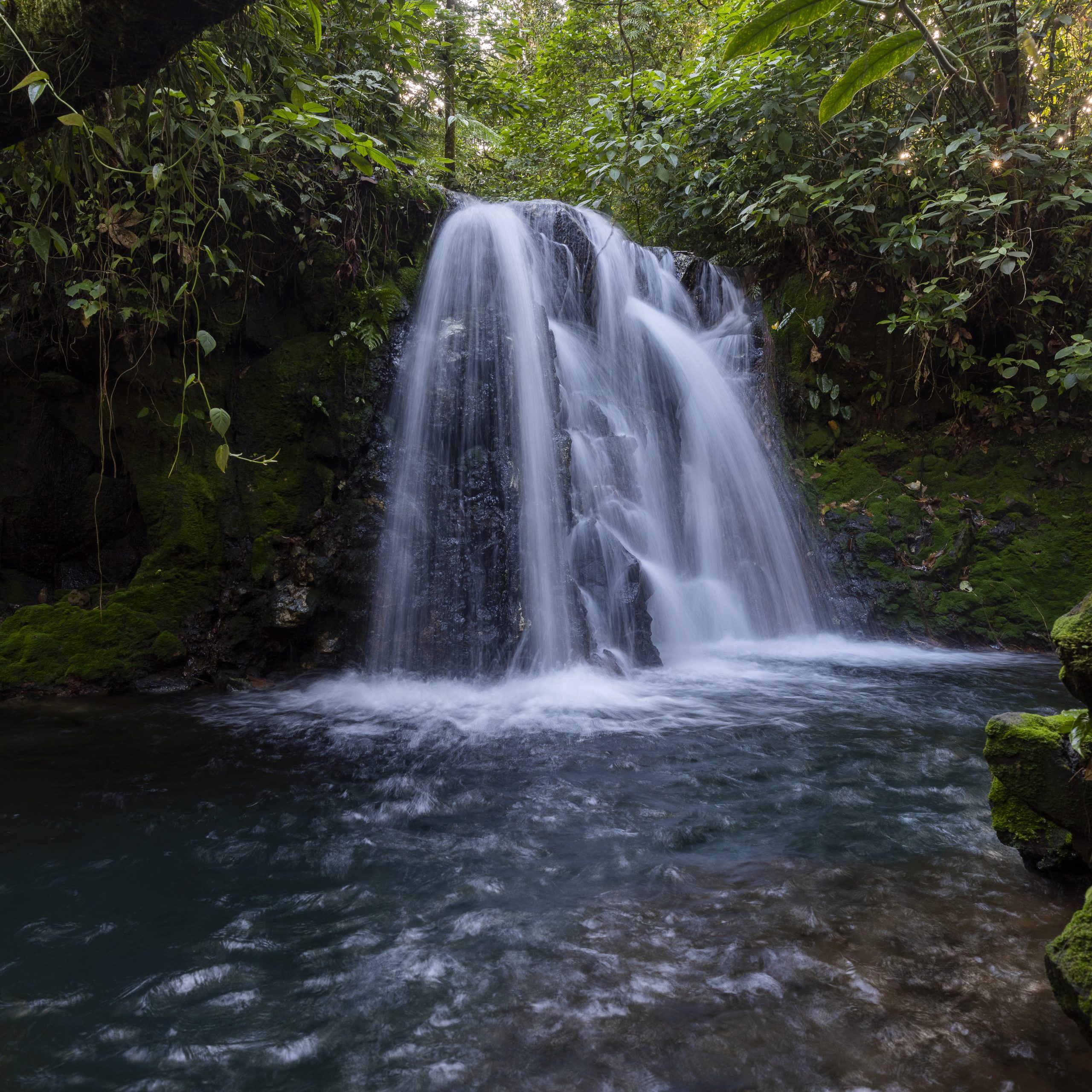 costarica-rioceleste-tour-stcostarica-swisstravel